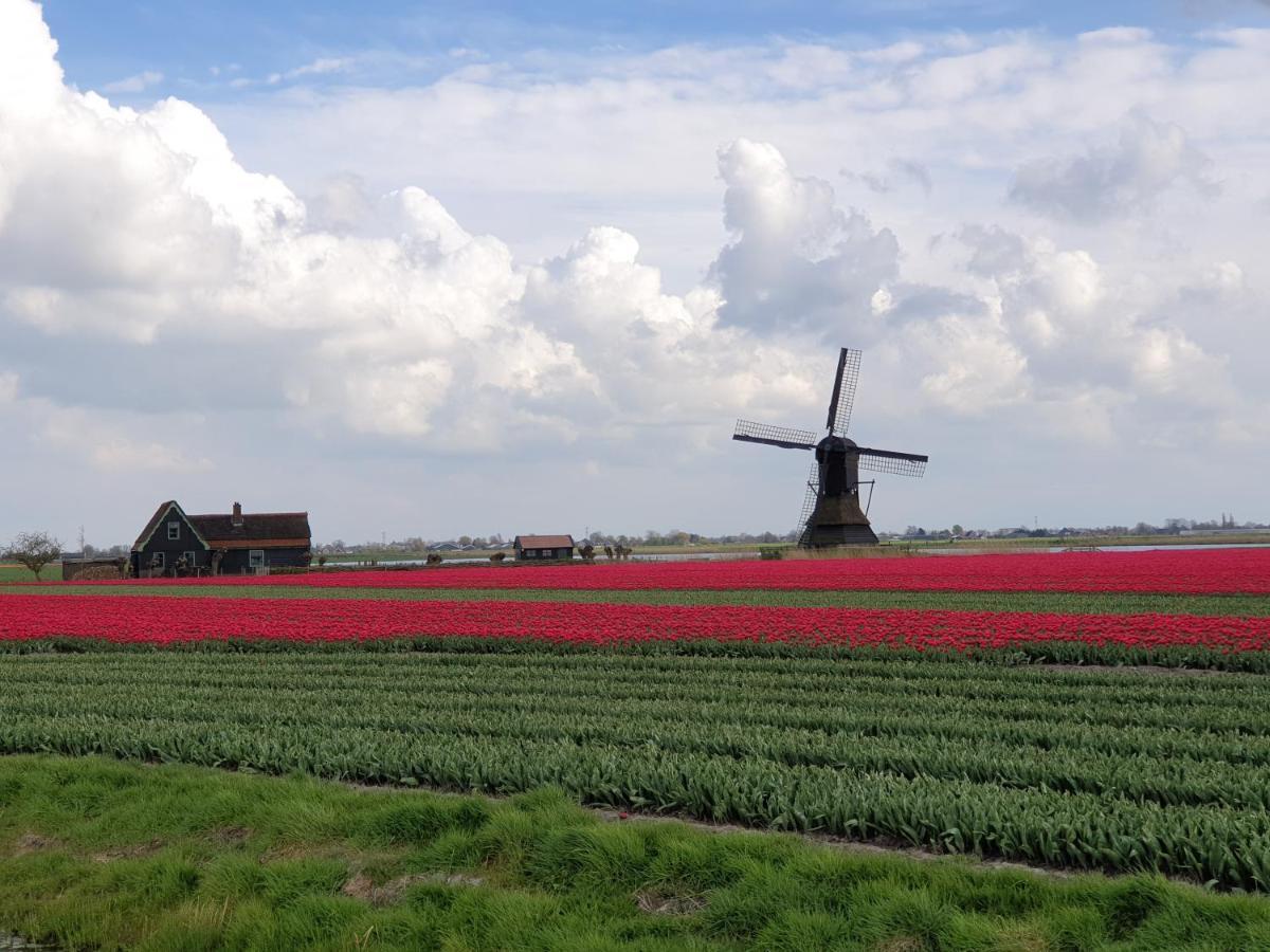 De Heerlijkheid Hensbroek Villa Exteriör bild