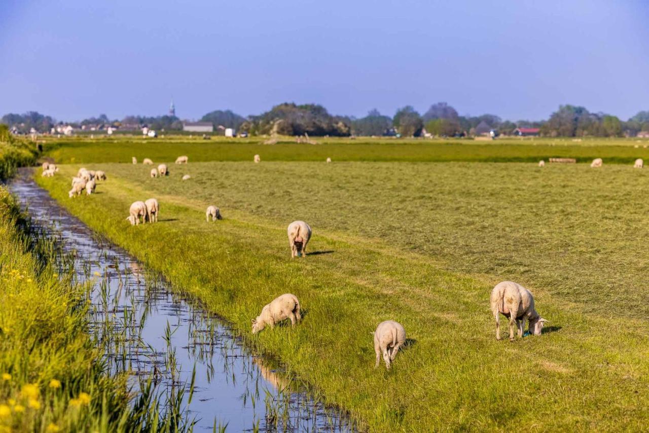 De Heerlijkheid Hensbroek Villa Exteriör bild
